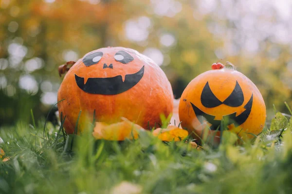 Jackieho Halloweenská Dýně Leží Trávě Článek Halloweenu Oranžová Dýně Obličejem — Stock fotografie