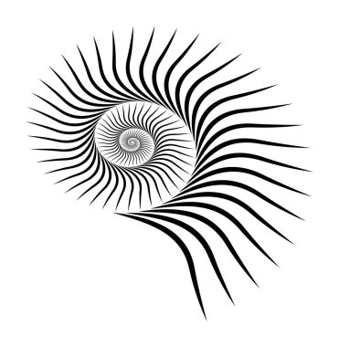 İzole edilmiş, vektör şeklinde. Beyaz arka planda dönen siyah spiral. Hipnoz etkisi. Deniz sisi kabukları eps10.