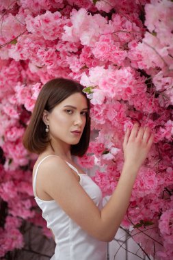 Bahar çiçeklerinin arka planında beyaz elbiseli genç kız.