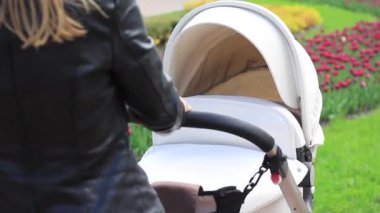 Annem lalelerin arka planında bir bebekle bebek arabasını sallıyor..