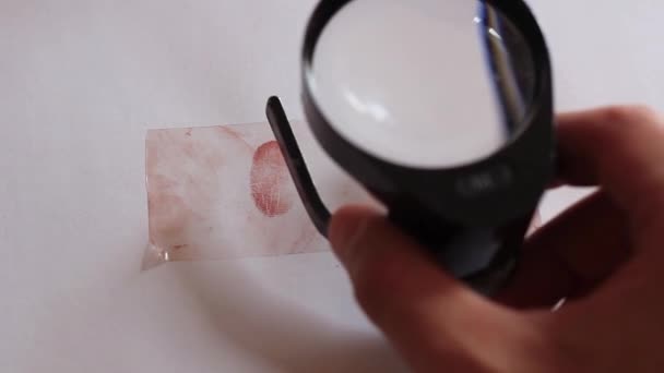 Närbild av fingeravtryck genom linsen. Papillärlinjer, mönster av fingerfalangen. Kriminalteknik, fingeravtryck. — Stockvideo