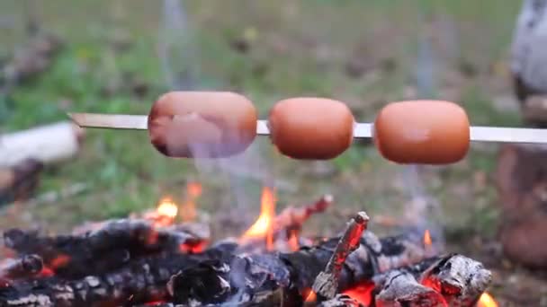 Salchichas en pinchos se fríen sobre el fuego. — Vídeo de stock