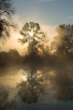 Şafakta sabah sisi. Sonbahar manzarası, göl, güneş ve ağaçlar.