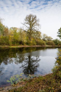 Sonbahar manzarası, göl kıyısı, sarı yapraklı ağaçlar, gökyüzü ve bulutlar..