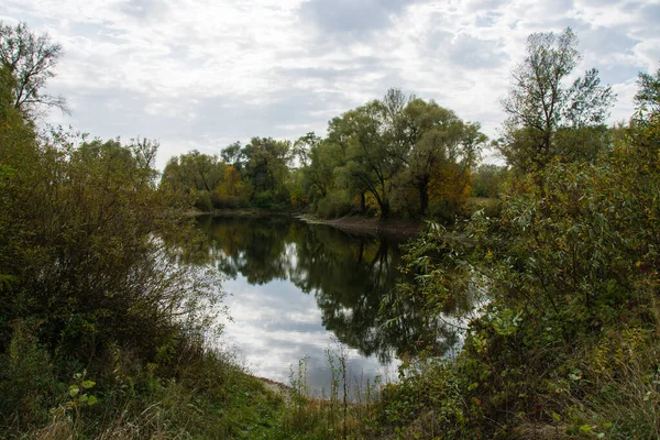 Herbstlandschaft See Uferbäume Und Wolkenverhangener Himmel — Stockfoto