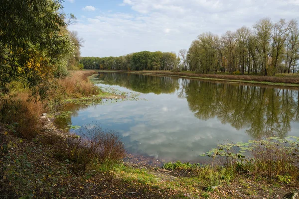 Céu Bonito Beira Lago Floresta Paisagem Outono Perto Cidade Chernigov — Fotografia de Stock