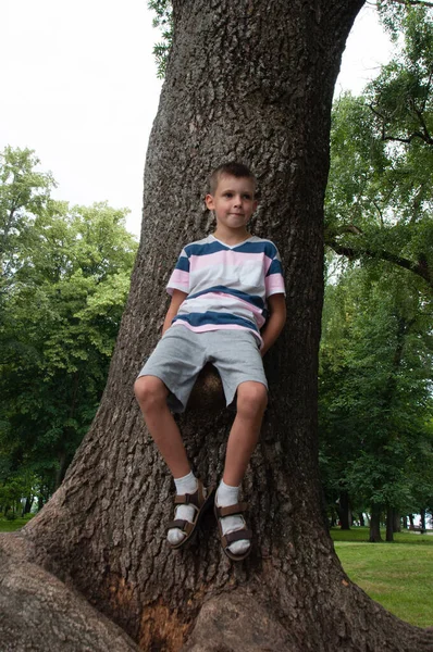 Boy Shorts Shirt Summer Park Sits Beautiful Old Tree — Stock Photo, Image