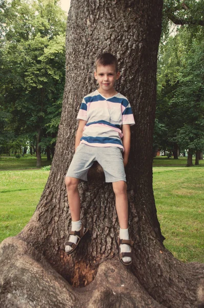 Boy Shorts Shirt Summer Park Sits Beautiful Old Tree — Stock Photo, Image