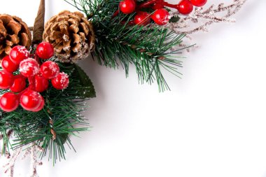 Beyaz arkaplan üzerinde çam kozalağı bulunan Noel dekoru çam dalı kopyalama alanı.