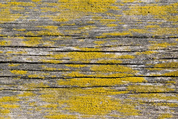 Textura Madeira Fundo Com Espaço Cópia Mesa Madeira Velha Coberto — Fotografia de Stock