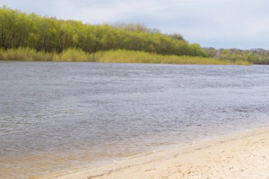 Chernigov şehrinin Ukrayna 'daki Desna Nehri kıyısında şehir plajı. Bahar, plaj sezonu için hazırlanıyor..