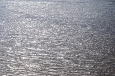 Nehir suyu, nehir kıyısı, dalgalar ve güneş parlaması, güneşli bir havada şehrin sahilinde su dokusu.