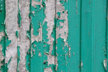 Eski metal, eski püskü yeşil çitler. Metin için yeri olan arkaplan.