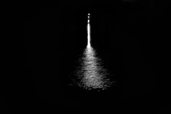 Лунный свет на озере Стоковое Фото