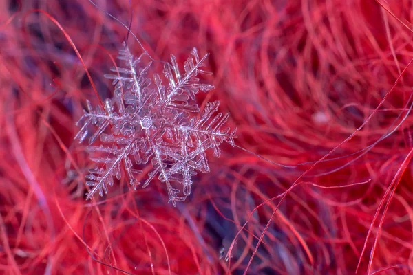 Cristales de copo de nieve macro en un gran aumento —  Fotos de Stock