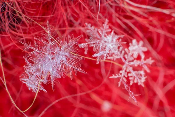 Cristales de copo de nieve macro en un gran aumento — Foto de Stock