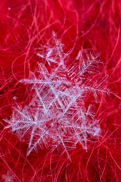 Cristales de copo de nieve macro en un gran aumento — Foto de Stock