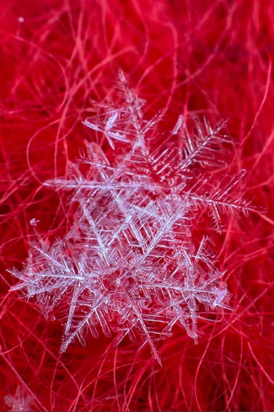 Cristaux de flocons de neige macro en forte augmentation — Photo