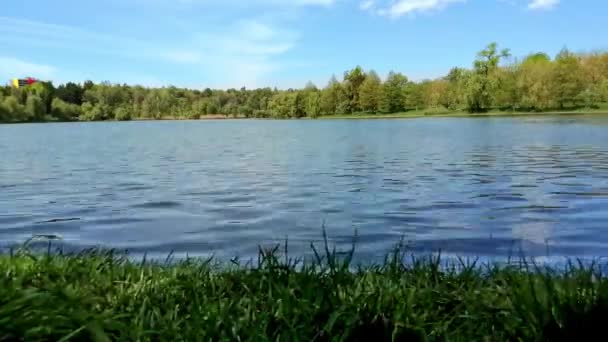 風の中の湖の緑の銀行 時間の経過 — ストック動画