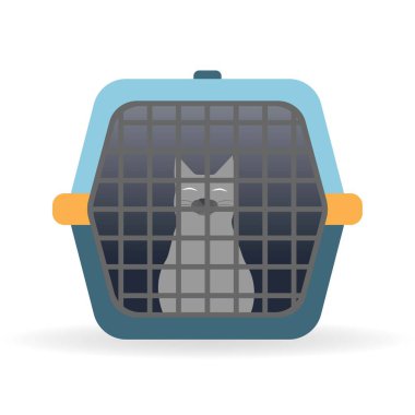 Çubuklu, evcil hayvan taşıyıcı çantasındaki kedi