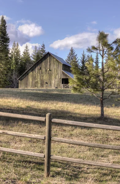 Barn in the background. — Stock Photo, Image