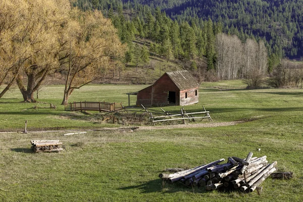 Woodpile and old barn in Idaho. — Stock Photo, Image