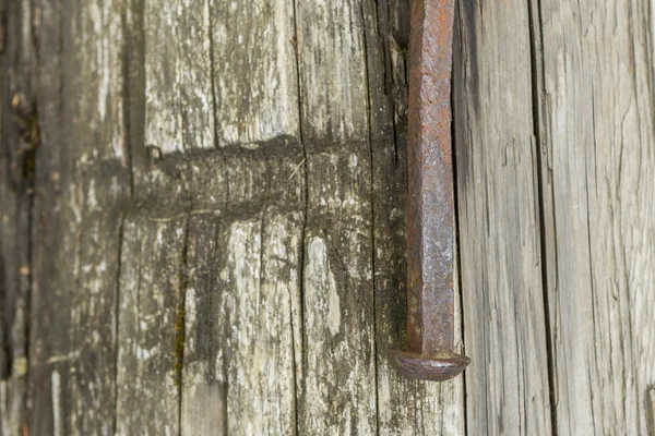 Espigão de metal enferrujado em madeira . — Fotografia de Stock