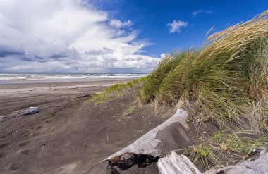 Çim plaj tarafından üflenir Rüzgar.