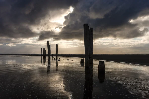 Günbatımı Pacific Beach, Washington. — Stok fotoğraf