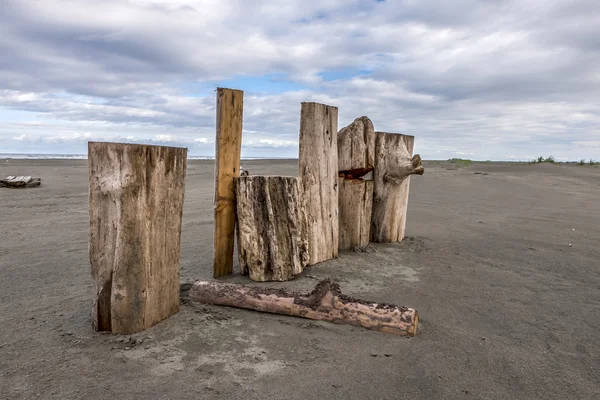Logs stood up on beach. — Stock Photo, Image