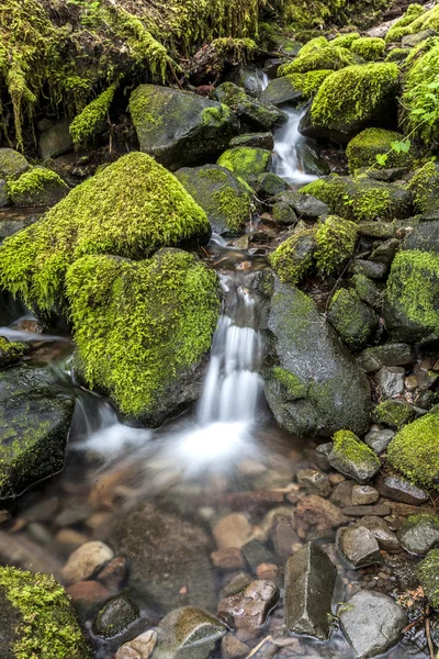 Pequena cascata através de pedras musgosas . — Fotografia de Stock