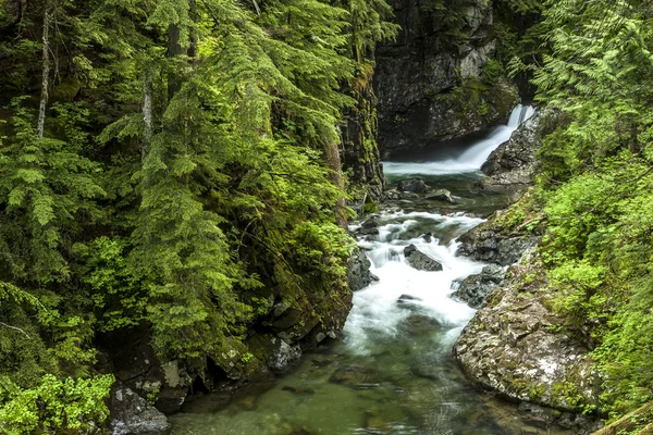 Small falls in Snoqualmie area. — Stock Photo, Image