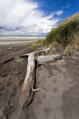 Çim tozlar günlükleri.