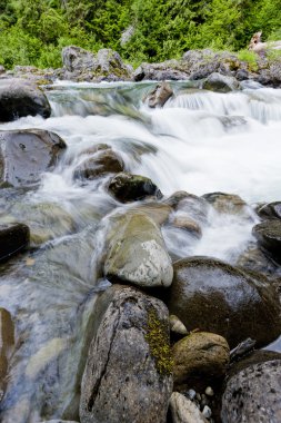Sol Duc Nehri boyunca kayalar.