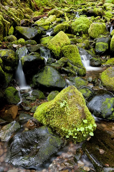 Exuberantes rocas cubiertas de musgo y un arroyo . — Foto de Stock