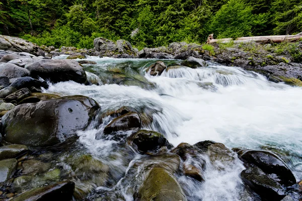 Sol Duc river cascades. — Stock Photo, Image