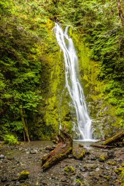 Madison Falls Port Angeles, Washington yakınlarında.