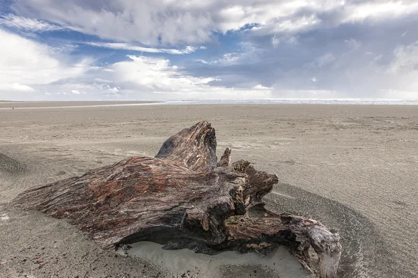 Velho tronco na areia e céu azul . — Fotografia de Stock