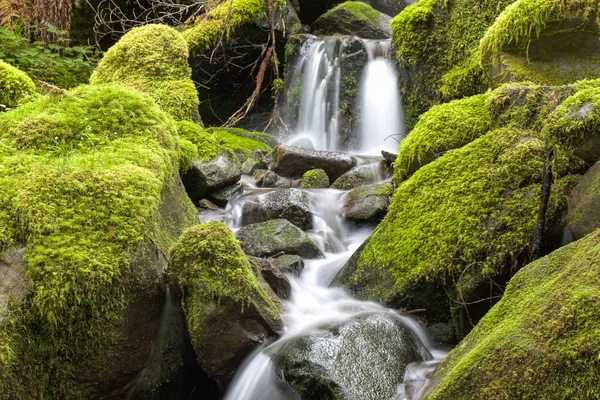 Närbild på litet vattenfall och mossiga stenar. — Stockfoto