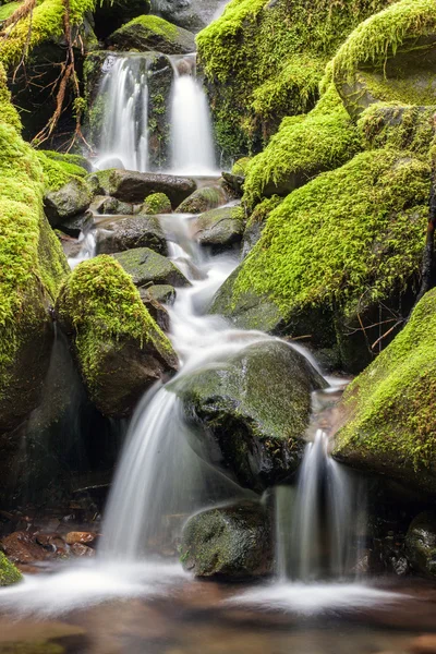 Små falls i bergen. — Stockfoto