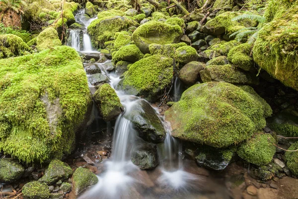 Kaskády přes moss zahrnuty skály. — Stock fotografie