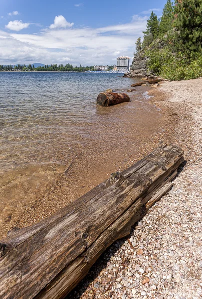 Log by the shore. — Stock Photo, Image