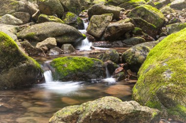 Küçük dağ deresi.
