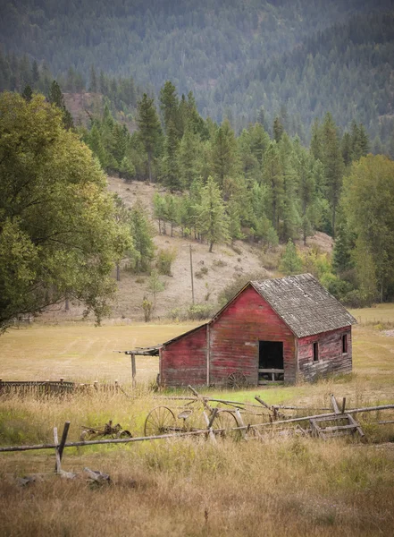 Liten ladugård i betesmark. — Stockfoto