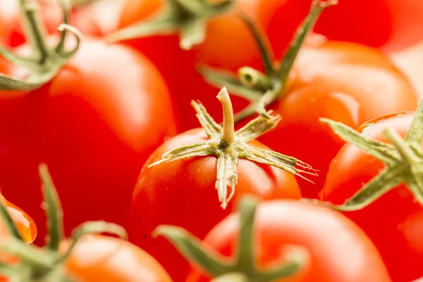 Close-up de tomates cereja . — Fotografia de Stock