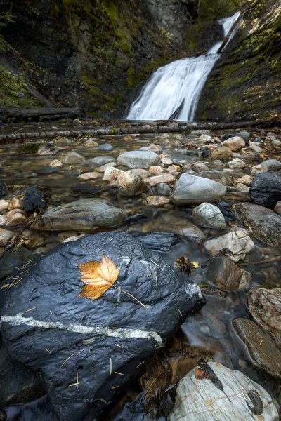 アッパー スウィークリークはワシントン州メタリン近くにある 10月の撮影 — ストック写真