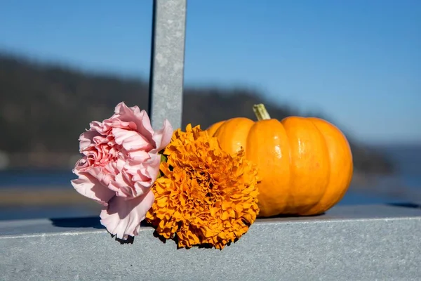 Una Piccola Zucca Due Fiori Sono Stati Posti Questa Ringhiera — Foto Stock