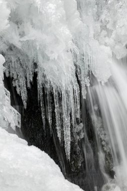 Metaline, Washington yakınlarındaki Sweetcreek Şelalesinde buz saçakları.