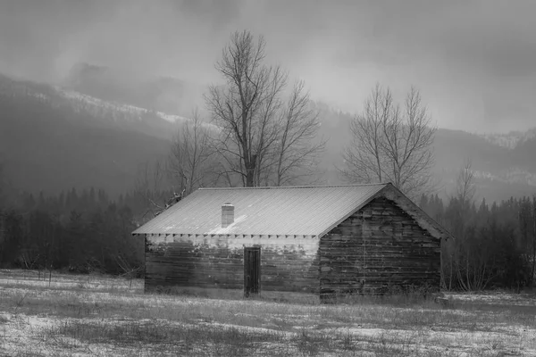 アイダホ州北部の冬に流された古い小屋の白黒写真 — ストック写真