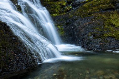 Lower Sweetcreek, Metaline, Washington yakınlarında yer alıyor. Ekim 'de fotoğraflandı.